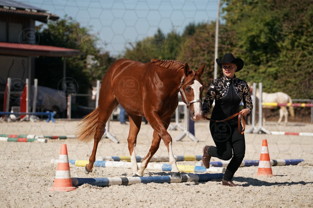 s_A_907697.JPG